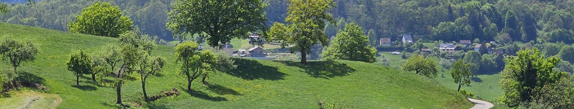 Découvrez notre hôtel avec vue panoramique sur les Vosges
