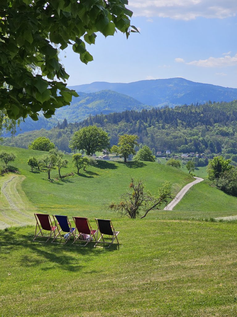 Découvrez notre hôtel avec vue panoramique sur les Vosges