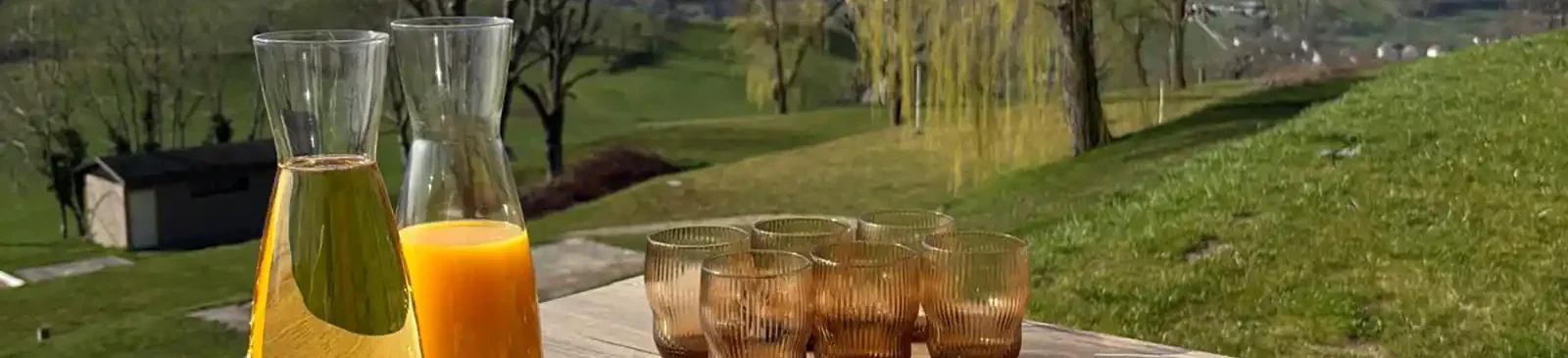 Hôtel avec panorama montagne et forêt à Hohrod proche de la Lorraine