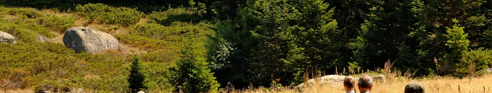 Hôtel atypique proche des sentiers de randonnée à Hohrod près de Strasbourg dans le Bas-Rhin