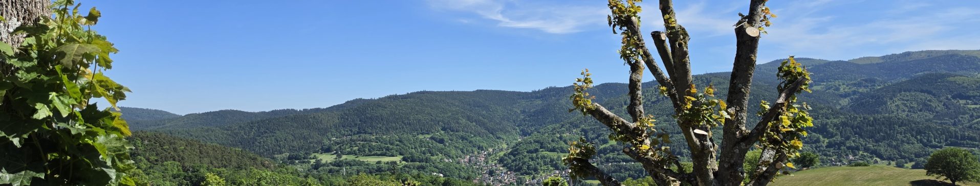 Hôtel ressourçant avec vue dégagée à Hohrod proche de Nancy en Lorraine
